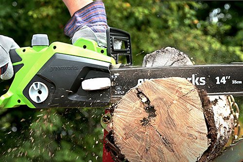 GreenWorks 20222 wood