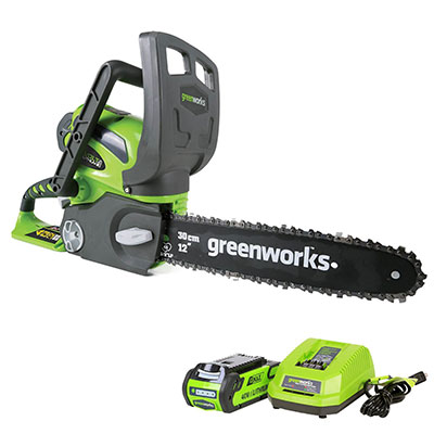Greenworks 20262 with charger