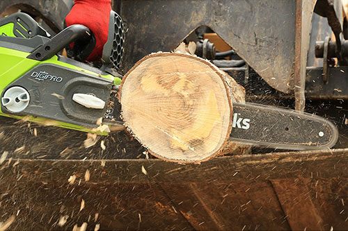 Greenworks gmax wood cutting